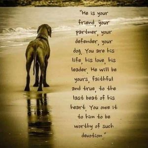 Meet your Posher, Nelson villa